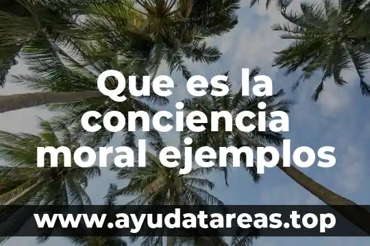 Que es la firma de una persona moral 4 Que es la conciencia moral ejemplos