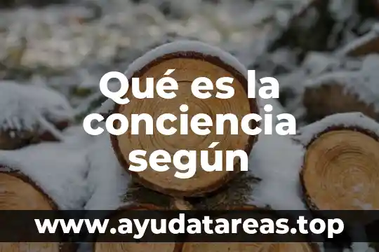 Qué es la conciencia según
