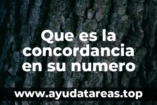 Número de municipio que es puerto vallarta 4 Que es la concordancia en su numero