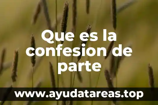 Que es la antera parte de la flor 4 Que es la confesion de parte