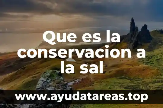 Que es programa de conservacion del agua 4 Que es la conservacion a la sal