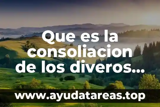 Que es la consoliacion de los diveros tipos de compañias