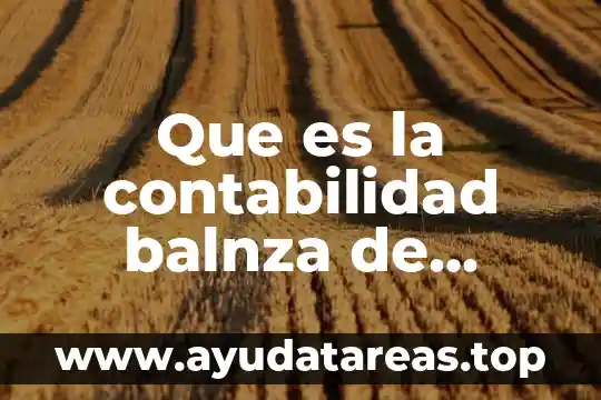 Que es la contabilidad balnza de pagos