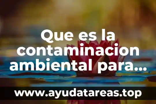 Que es la contaminacion ambiental para niños de kinder