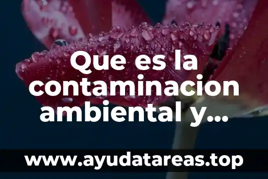 Que es modelos analitico contaminacion del agua 8 Que es la contaminacion ambiental y como afecta al planeta