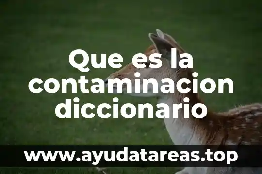 La contaminación y los tipos de contaminación 5 Que es la contaminacion diccionario