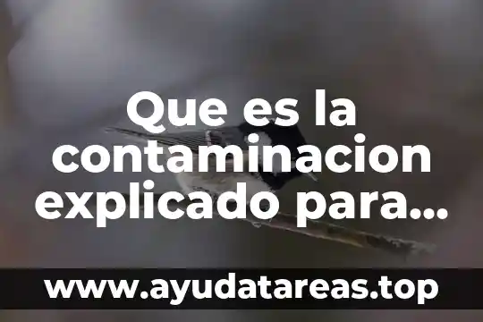 Que es la contaminacion explicado para niños
