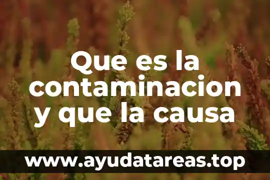 Que es una conclusion sobre el tema del agua contaminacion 3 Que es la contaminacion y que la causa