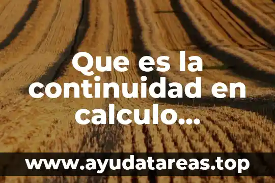 Que es concepto de funcion en calculo diferencial 6 Que es la continuidad en calculo diferencial