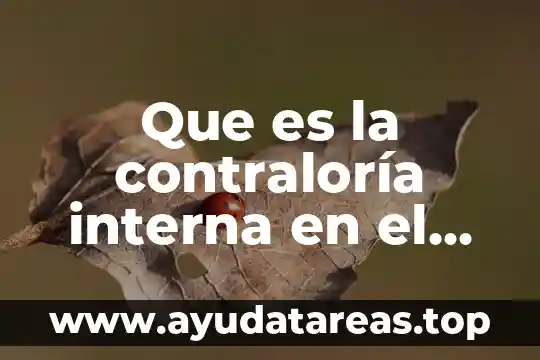 Que es la contraloría interna en el sector publico