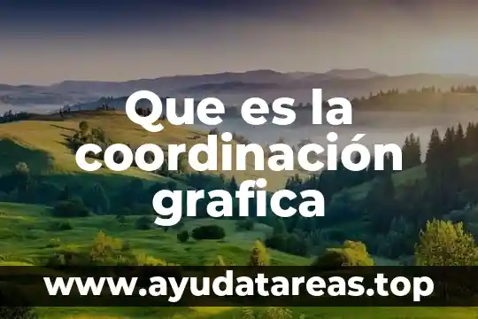 Que es la coordinación grafica