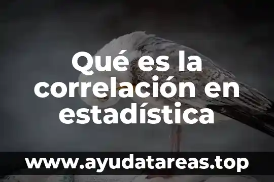 Que es nivel de significación estadística 3 Qué es la correlación en estadística