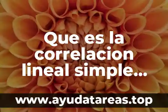 Qué es la correlación estadística y qué tipos existen 6 Que es la correlacion lineal simple en estadistica