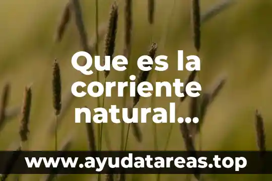 Qué es la filosofía médica 6 Que es la corriente natural filosoficamente