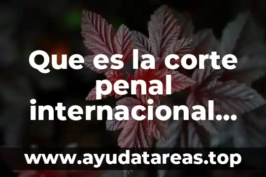 Que es la corte penal internacional de la haya