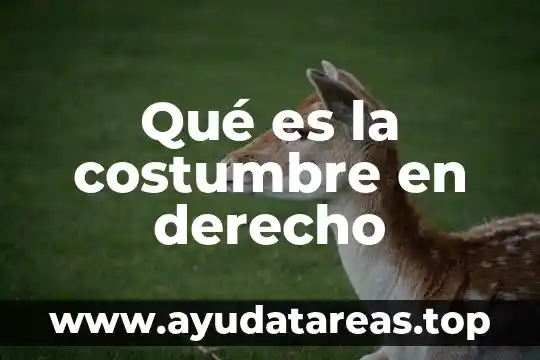 Que es la pena de muerte en derecho 3 Qué es la costumbre en derecho