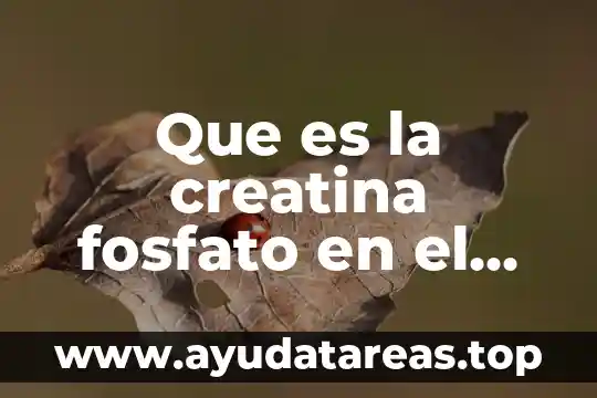 Que es el linaje humano 5 Que es la creatina fosfato en el cuerpo humano