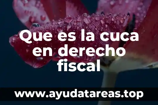 Qué es offshoring significado 5 Que es la cuca en derecho fiscal