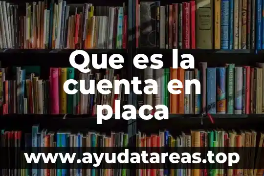 Que es la cuenta en placa