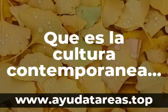 Que es la cultura contemporanea definicion