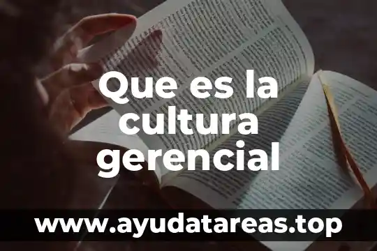Que es la cultura gerencial