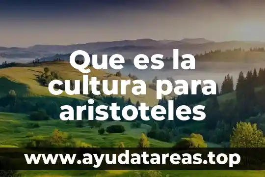 Que es un vicio segun aristoteles 6 Que es la cultura para aristoteles