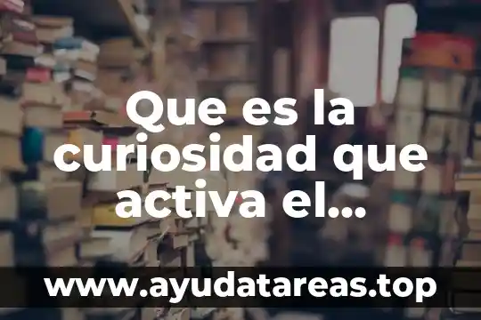Que es la curiosidad que activa el filosofar