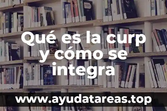 Que es codigo de verificacion para sacar curp 5 Qué es la curp y cómo se integra