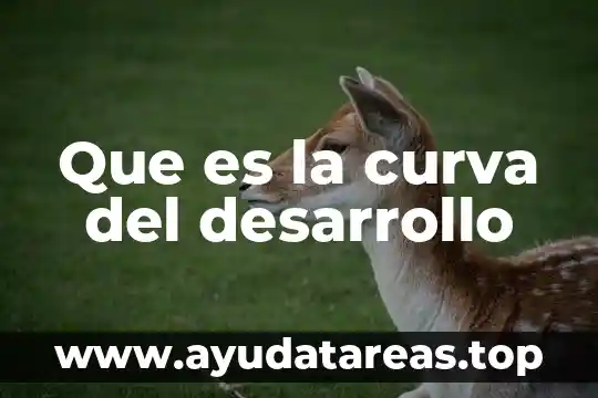 Que es una curva de nivel tipos de curvas maestra 6 Que es la curva del desarrollo