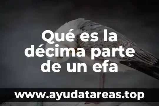¿Qué es el agua nutriente o alimento? 3 Qué es la décima parte de un efa