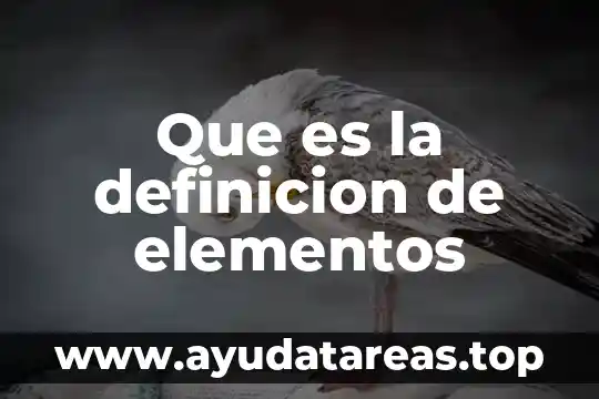Que es la definicion de elementos