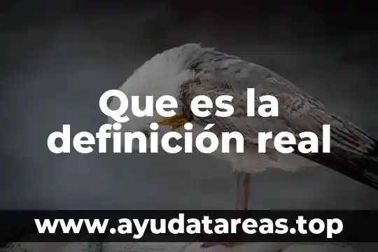 Qué es un delito contra la libertad reproductiva definición 8 Que es la definición real