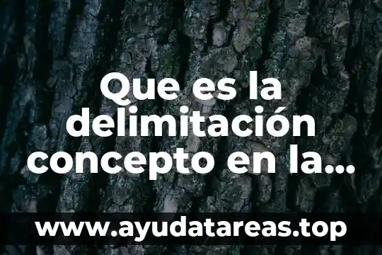 Que es la delimitación concepto en la educación