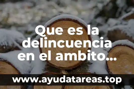Que es la delincuencia en el ambito economico