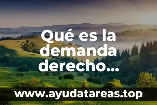 Que es el decho procesal civil segun castrillon y luna 3 Qué es la demanda derecho procesal civil