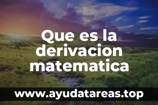 Que es el ong y sus tipos 7 Que es la derivacion matematica