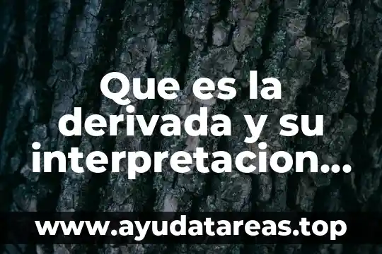 Qué es la representación gráfica en arquitectura 7 Que es la derivada y su interpretacion grafica