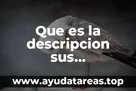 Qué es un ángulo con sus características y su notación 4 Que es la descripcion sus caracteristicas y sus tipos