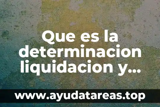 Que es la determinacion liquidacion y pago de impuestos