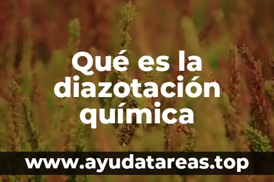 Que es el número de oxidación en quimica 5 Qué es la diazotación química