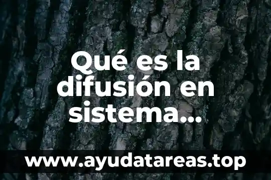 Qué es la difusión en sistema cardiovascular