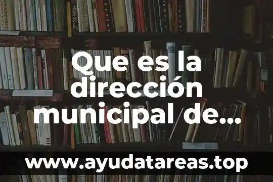 Que es la dirección municipal de desarrollo social y humano