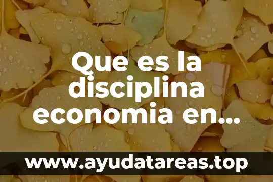 Administracion que es ser medible 4 Que es la disciplina economia en administracion