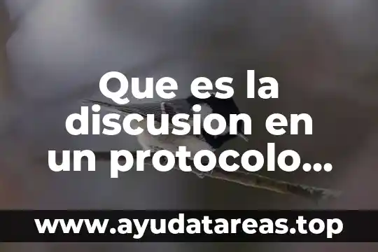 Que es la discusion en un protocolo de investigacion