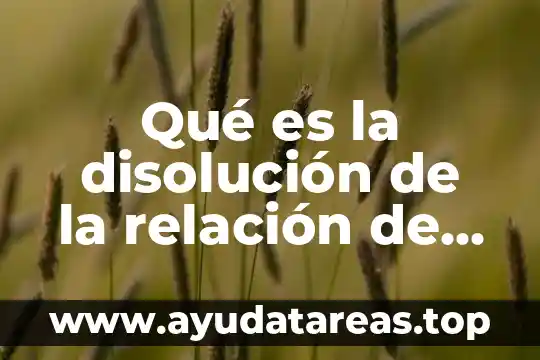 Qué es la disolución de la relación de trabajo