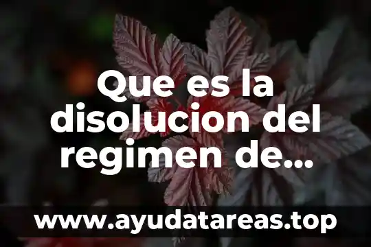 Que es la disolucion del regimen de sociedad conyugal
