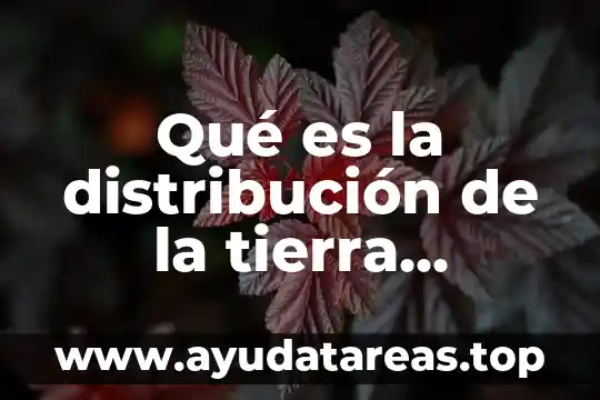 Que es un derecho significado 4 Qué es la distribución de la tierra significado