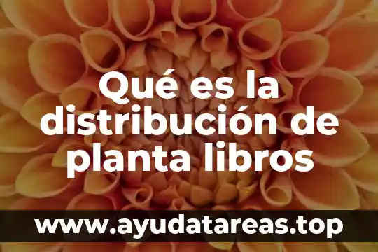 Que es un sistema de produccion libros 4 Qué es la distribución de planta libros