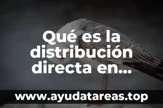 Qué es la polarización directa definición 3 Qué es la distribución directa en logística
