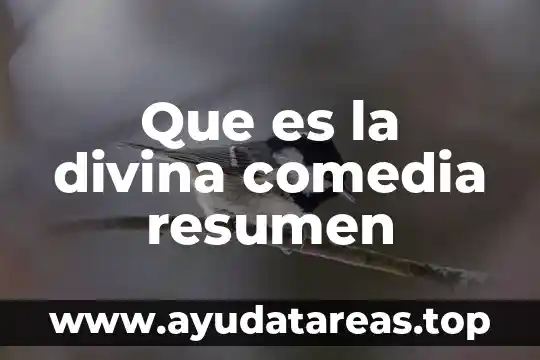 Que es resumen y tipos de resumen 8 Que es la divina comedia resumen